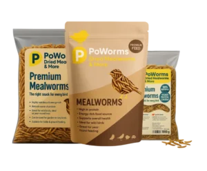 Dried Mealworms from Isemipet 1