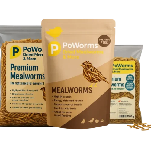 Dried Mealworms from ISEMIPET 1