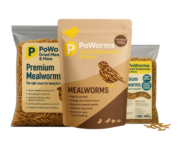 Dried Mealworms from ISEMIPET 1