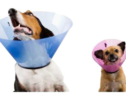 Elizabethan Collar Pet Clone by ISEMIPET 53
