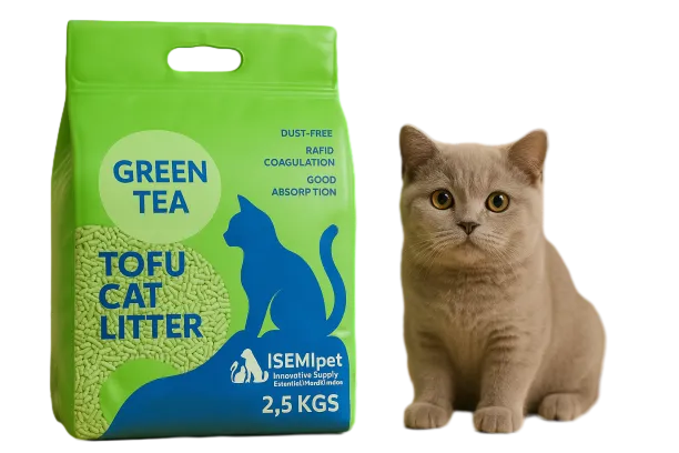 Green Tea Tofu Cat Litter with British Shorthair Cat in Lifestyle Photo by Isemipet Isemipet Green Tea Tofu Cat Litter with British Shorthair Cat in Lifestyle Photo by Isemipet