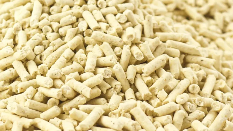 Corn Cat Litter from ISEMIPET Natural Corn Cat Litter – Fast Absorption, Low Dust, Gentle on Paws, by ISEMIPET