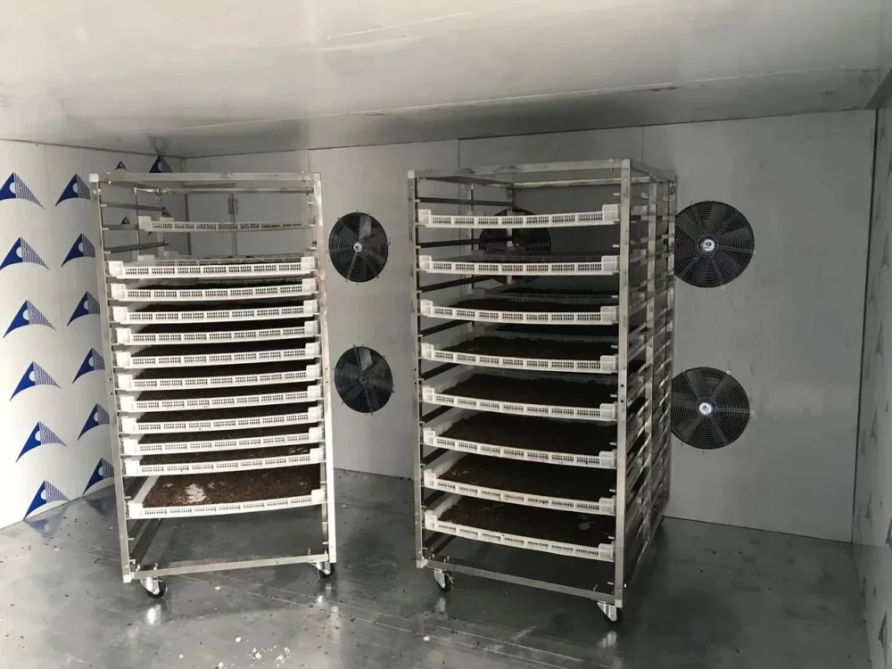 Industrial Microwave Drying Room for Black Soldier Fly Larvae Production, made by PoWorms brand from ISEMIPET