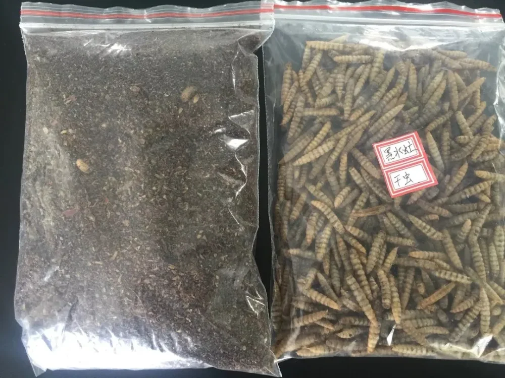 Microwave Dried Black Soldier Fly Larvae and Powder in Bulk Plastic Bags, made by PoWorms brand from ISEMIPET