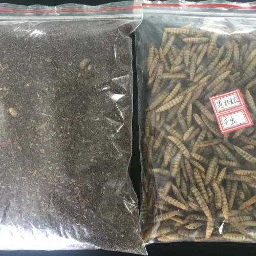 Microwave Dried Black Soldier Fly Larvae and Powder in Bulk Plastic Bags, made by PoWorms brand from ISEMIPET
