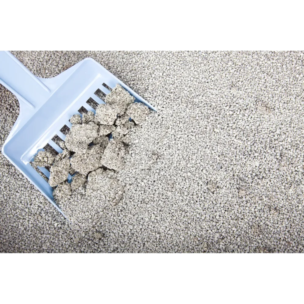 Natural fast-clumping bentonite cat litter on scoop by ISEMIPET