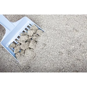 Natural fast-clumping bentonite cat litter on scoop by ISEMIPET