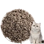 Gray Cat Sitting Beside a Pile of Paper Cat Litter Pellets