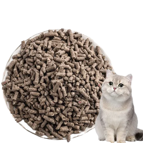 Cat with Recycled Paper Litter Pellets by Isemipet Isemipet Gray Cat Sitting Beside a Pile of Paper Cat Litter Pellets