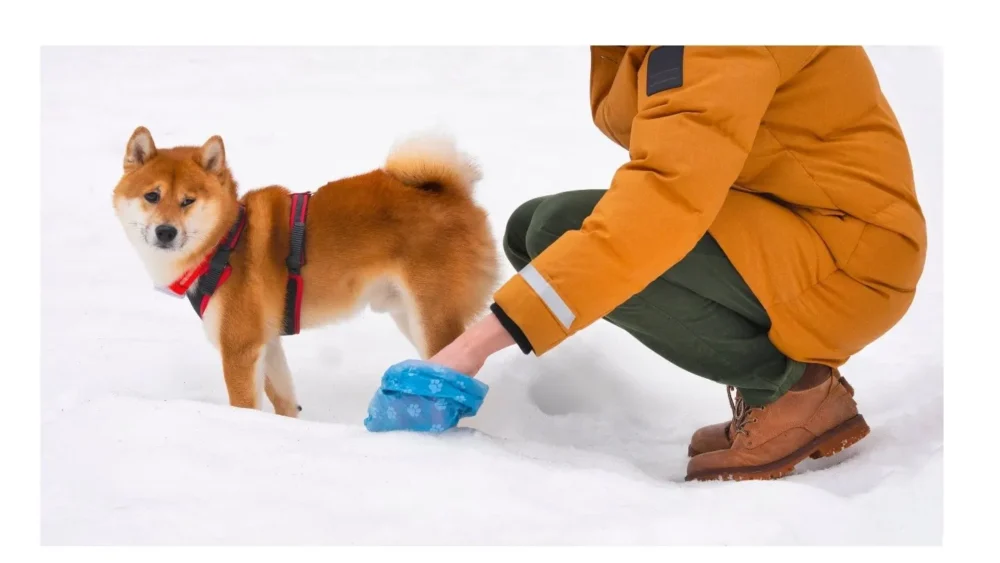 Dog Waste Bag by ISEMIPET 43 Woreczki na psie odchody