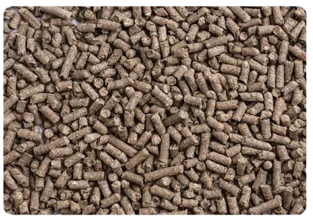 Flat-Laid Recycled Paper Cat Litter Pellets – Top View for Bulk Display