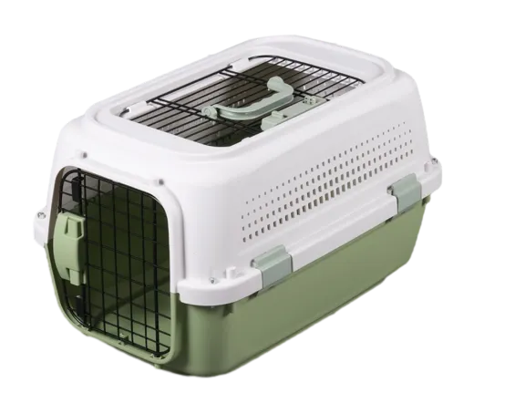 Green plastic pet carrier with top ventilation and front gate