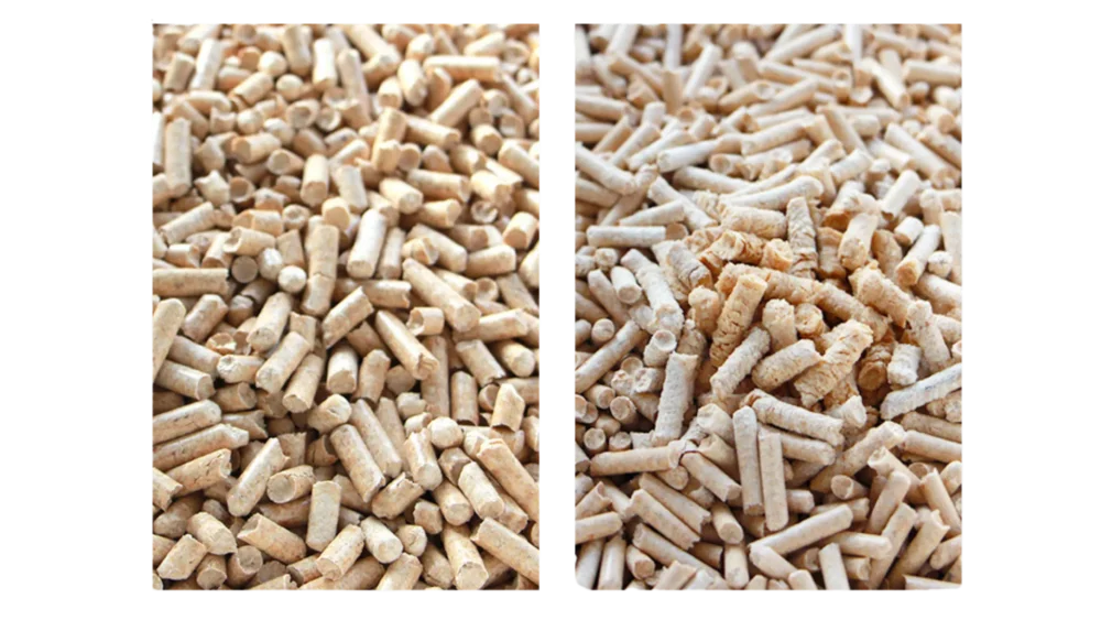 Comparison of wood pellet cat litter before and after absorbing water