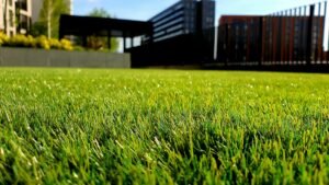 turf texture